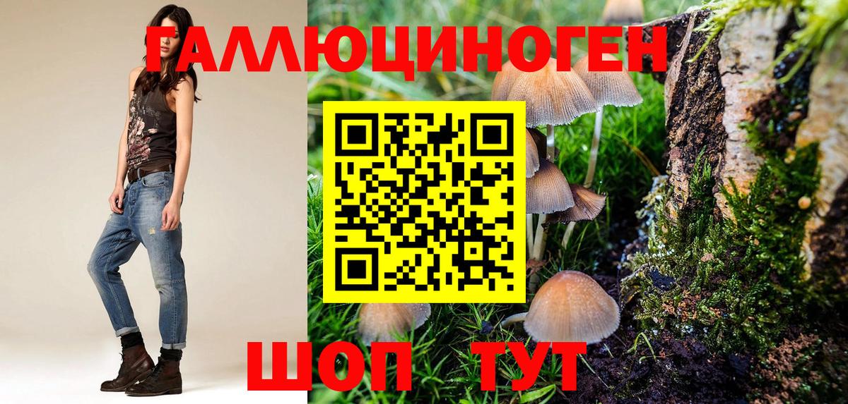 Псилоцибиновые грибы прущие грибы Губкин