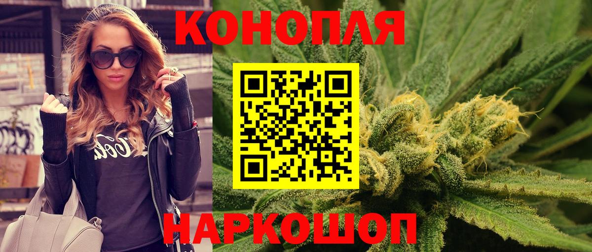 Каннабис марихуана  Бошки марихуана семена  Канабис индика  Вход с VPN  Губкин  Конопля конопля 